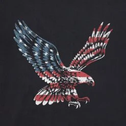 Men's Eagle Flag Short Sleeve Tee -LIFE IS GOOD SHOP 104395 2 823bd31b 27a0 4ef7 a6c6 85710c2c47aa