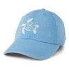 Adult Unisex Groovy Turtle Sunwashed Chill Cap