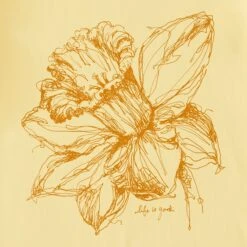 Women's Daffodil Short Sleeve Tee -LIFE IS GOOD SHOP 137014 2 364ac1d8 1d3e 492a 8da6 5a3ad7fd3fa5