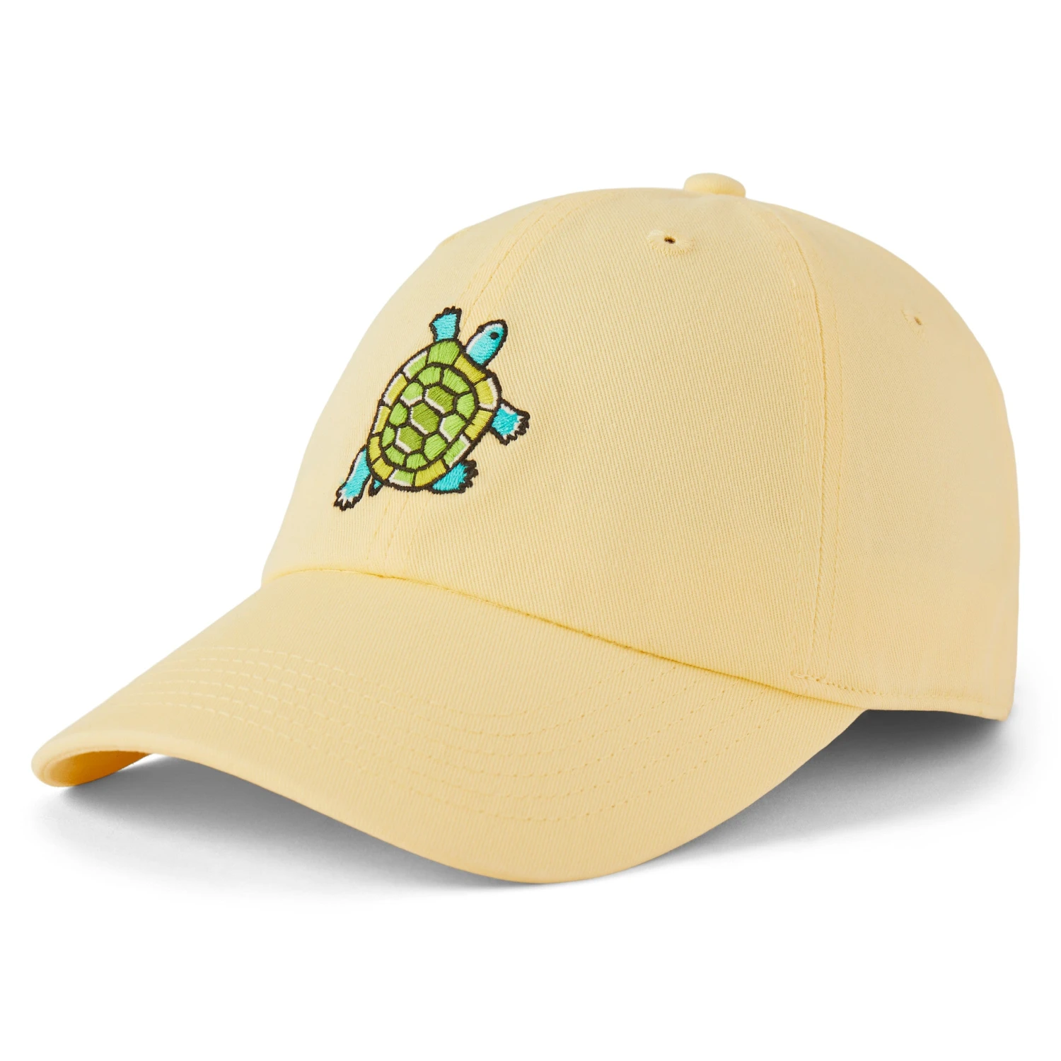 Adult Unisex Vintage Turtle Chill Cap 1 Adult Unisex Vintage Turtle Chill Cap