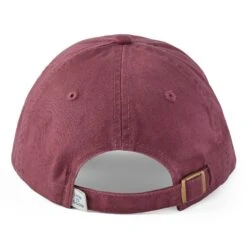 Adult Unisex Stay True Dog Chill Cap -LIFE IS GOOD SHOP 88539 3